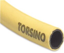 Torsino