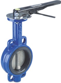 Caste Butterfly Valve DN