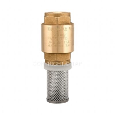 brass spring loaded non return foot valve female bsp thread Thread best price