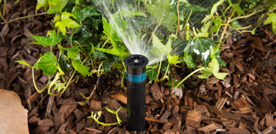 Hunter Strip Pattern Nozzles Best Prices