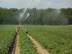 Farm irrigation equipment